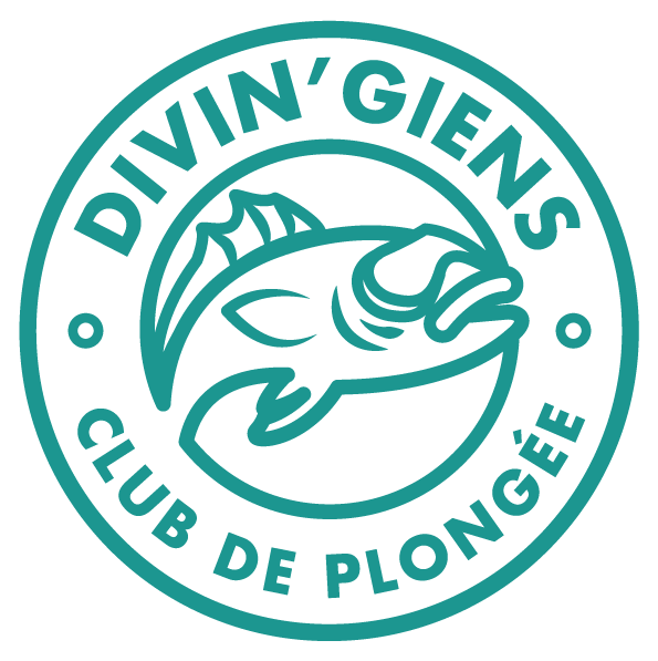 Divin'Giens